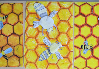 bienen-und-waben-klasse-6