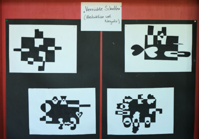 verrueckte-schatten-klasse-8